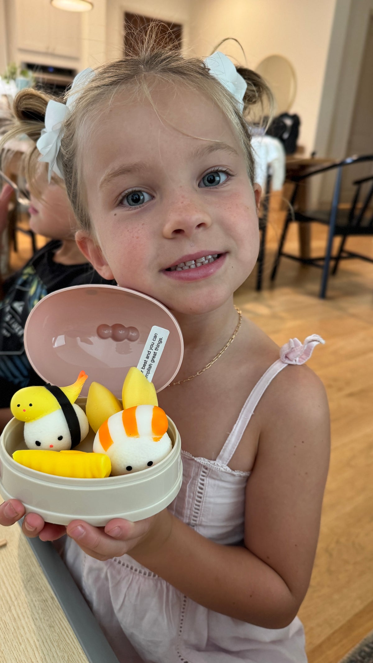 Squishy Bento Box